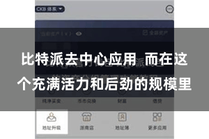 比特派去中心应用  而在这个充满活力和后劲的规模里
